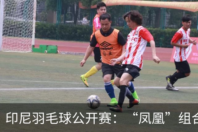 印尼羽毛球公开赛：“凤凰”组合险胜过关 李诗沣无缘八强