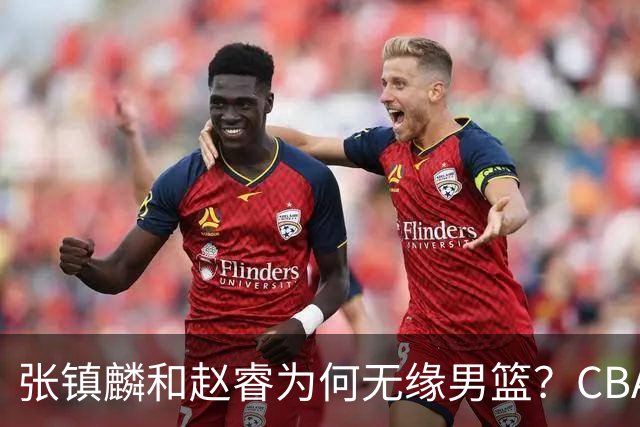 张镇麟和赵睿为何无缘男篮？CBA名记分析，道出2个原因