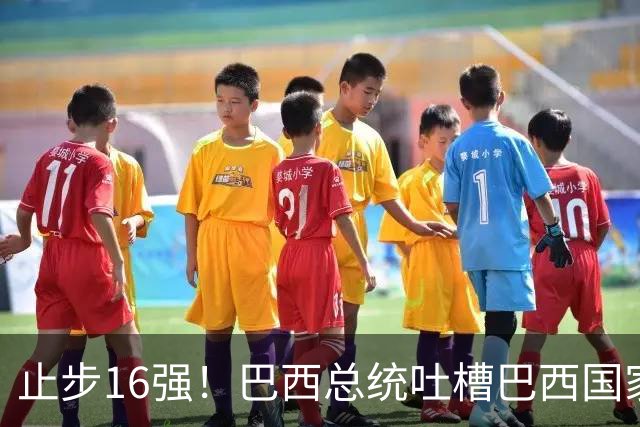 止步16强！巴西总统吐槽巴西国家队：就一个人跟包机回国，丢人！