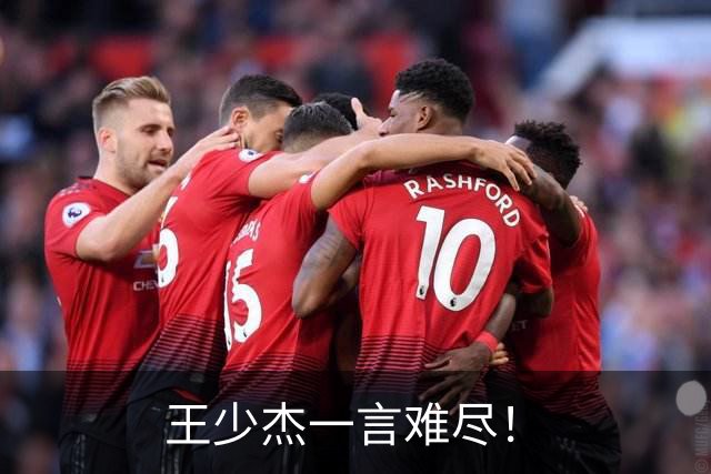 王少杰一言难尽！