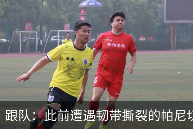 跟队：此前遭遇韧带撕裂的帕尼切利有望在9月至11月期间复出