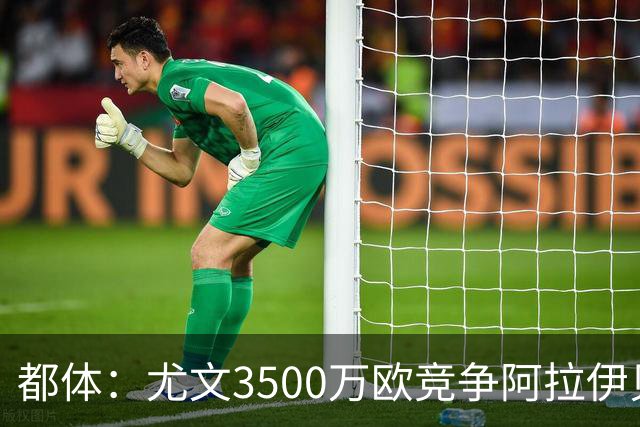 都体：尤文3500万欧竞争阿拉伊贝戈维奇，目前切尔西依然占优