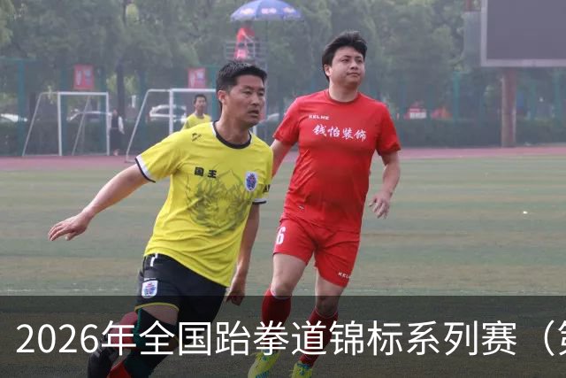 2026年全国跆拳道锦标系列赛（第二站）在广州收官