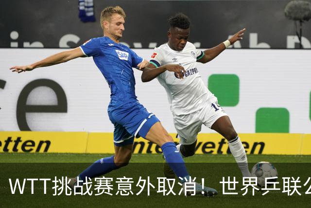 WTT挑战赛意外取消！世界乒联公开道歉，索林回应感到无奈